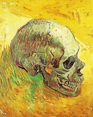 Skull By Vincent Van Gogh Paint By Number