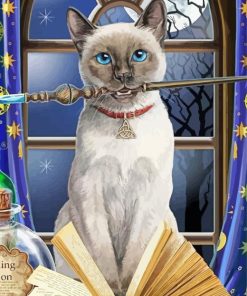 Wizard Cat Paint By Numbers