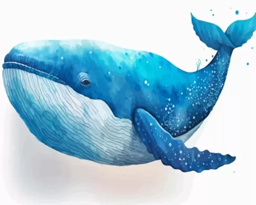 Blue whale paint by numbers