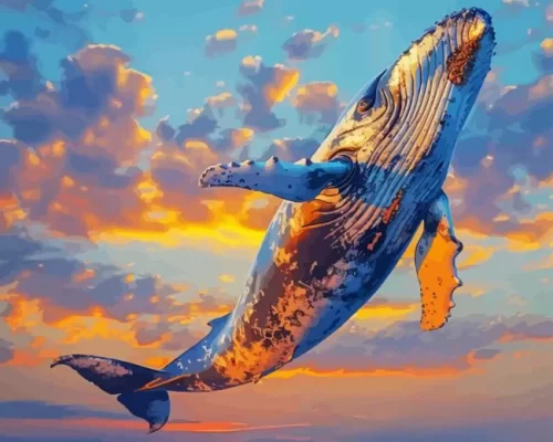 Whale in the sky paint by number