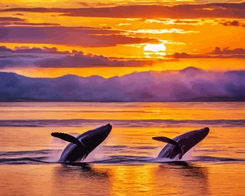 whales at sunset paint by number