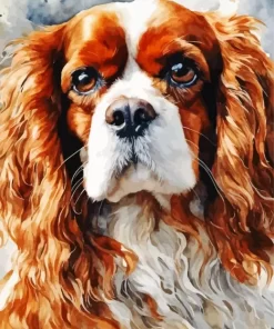 Cavalier King Charles Spaniel Paint by Number