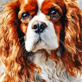 Cavalier King Charles Spaniel Paint by Number