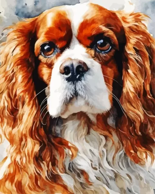 Cavalier King Charles Spaniel Paint by Number