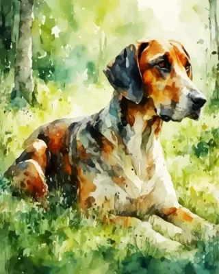 Abstract Coonhound Paint by Number