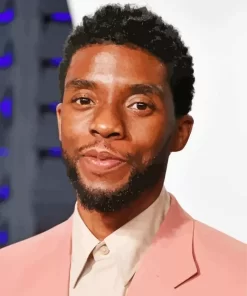 The American Actor Chadwick Boseman Paint by Number