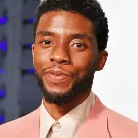 The American Actor Chadwick Boseman Paint by Number