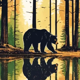 American Black Bear Illustration Paint by Number