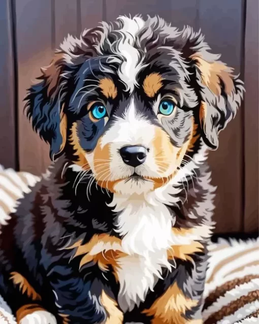 Bernedoodle Puppy Paint by Number