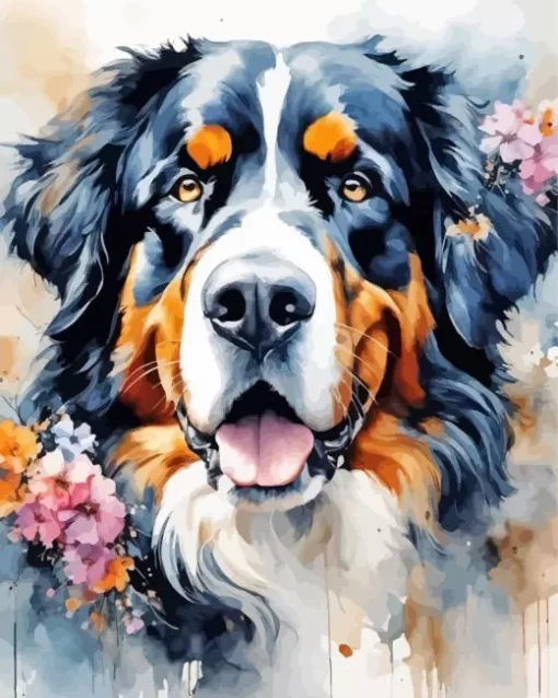 Bernese Mountain Dog Paint by Number