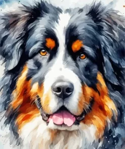 Bernese Mountain Close Up Paint by Number