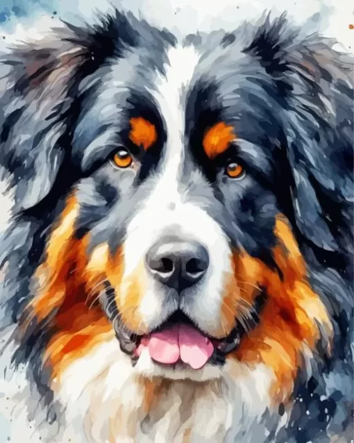 Bernese Mountain Close Up Paint by Number