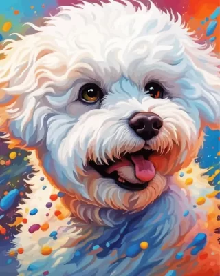 Bichon Frise Dog Paint by Number