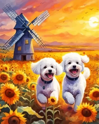 Bichon Frise Dogs Paint by Number