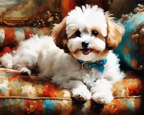 Bichon Frise Pet Paint by Number