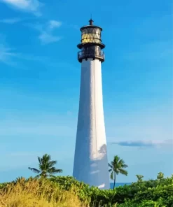 Bill Baggs State Park Lighthouse miami paint by numbers