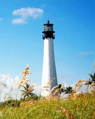 Bill Baggs State Park Lighthouse paint by number