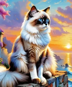 Birman Animal Paint by Number