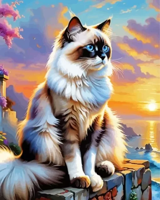 Birman Animal Paint by Number