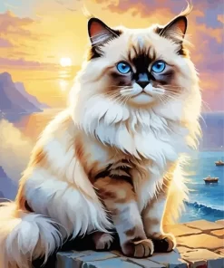 Birman Cat Paint by Number