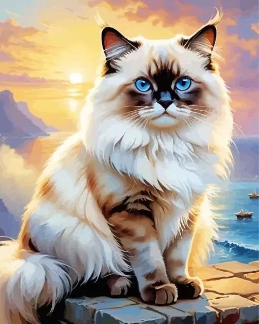 Birman Cat Paint by Number