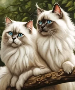 Birman Cats On Tree Paint by Number