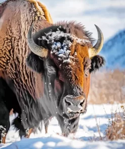 Bison Face Paint by Number