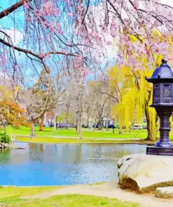 Boston Public garden paint by numbers