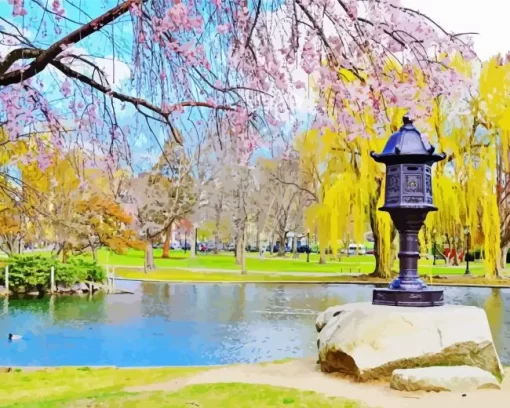 Boston Public garden paint by numbers