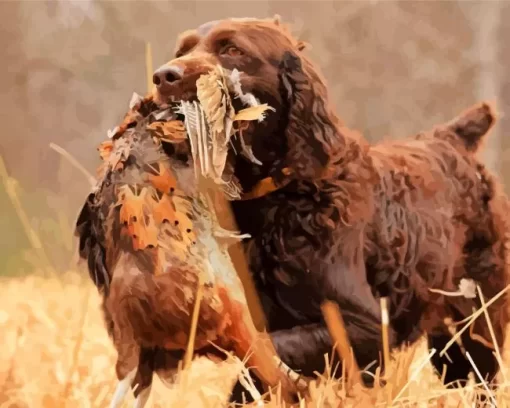 Boykin Spaniel Hunting Paint by Number