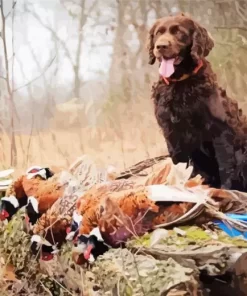 Boykin Spaniel Puppy Paint by Number