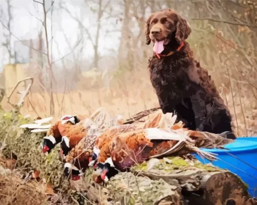 Boykin Spaniel Puppy Paint by Number