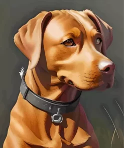 Brown Vizsla Paint by Numbers