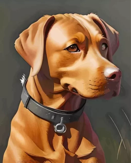 Brown Vizsla Paint by Numbers