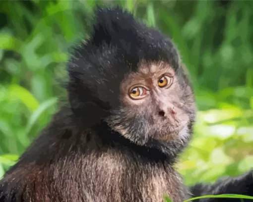 Capuchin Head Paint by Number
