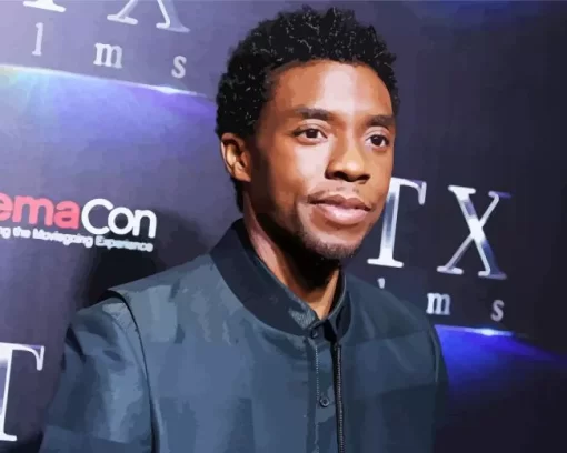 Chadwick Boseman Celebrity Paint by Number