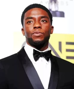 Classy Chadwick Boseman Paint by Number