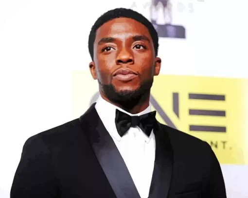 Classy Chadwick Boseman Paint by Number