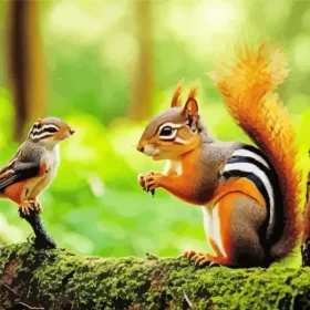 Chipmunk And Bird Paint by Number