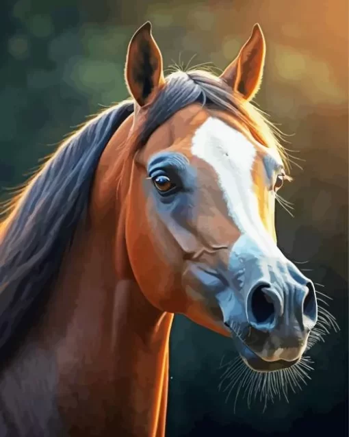 Close Up Arabian Horse Paint by Number