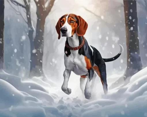 Coonhound In Winter Paint by Numbers