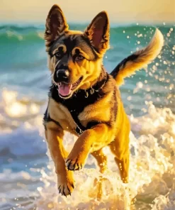 German Shepherd On The Beach Paint by Number