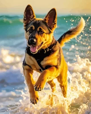 German Shepherd On The Beach Paint by Number