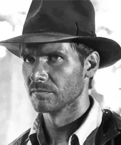 Monochrome Harrison Ford Paint by Number