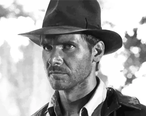 Monochrome Harrison Ford Paint by Number