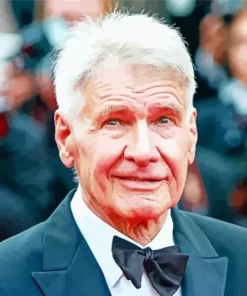 Classy Harrison Ford Paint by Number