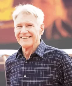 Harrison Ford Smilling Paint by Number