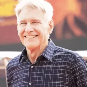 Harrison Ford Smilling Paint by Number