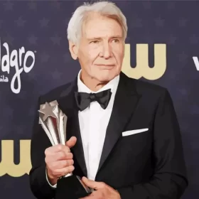 Harrison Ford With Award Paint by Number