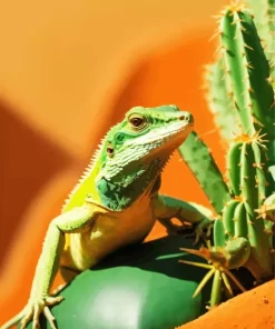 Iguana With Cactus Paint by Number